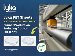 pet sheet manufacturer for punnet production in india